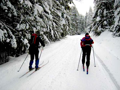 Skiers in Wells Grey Park