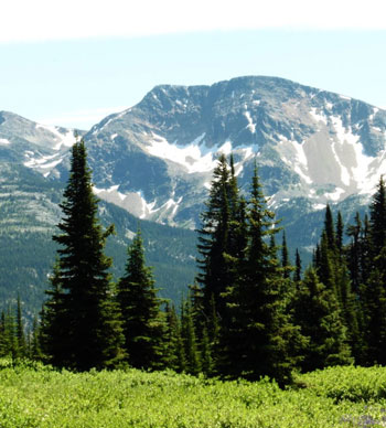 Trophy Mountain Wells Gray Park