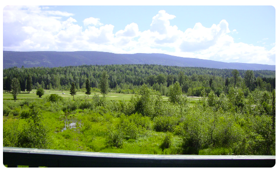 Heritage Rooms — Mountain View